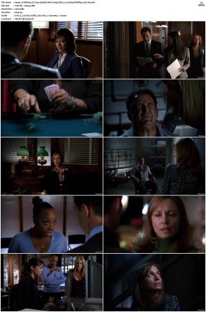 Without A Trace S05 WEBRip EAC3 2 0 1080p x265-iVy