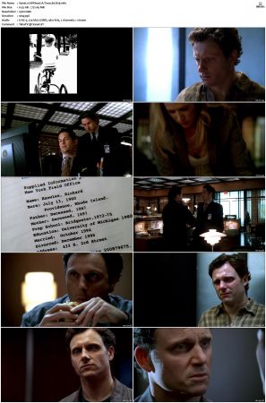 Without A Trace S02 WEBRip EAC3 2 0 1080p x265-iVy