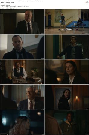 Blue Bloods S11 WEBRip EAC3 5 1 1080p x265-iVy