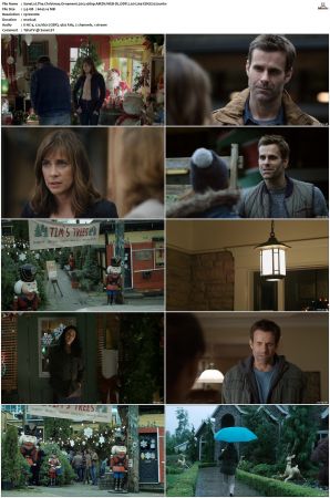 The Christmas Ornament 2013 1080p AMZN WEB-DL DDP 2.0 H264-EDGE2020