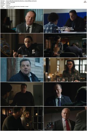 Blue Bloods S09 WEBRip EAC3 5 1 1080p x265-iVy