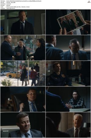 Blue Bloods S13 WEBRip EAC3 5 1 1080p x265-iVy