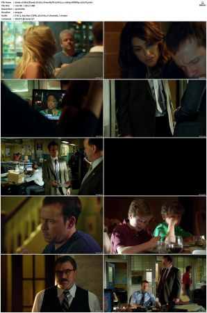Blue Bloods S02 WEBRip EAC3 5 1 1080p x265-iVy