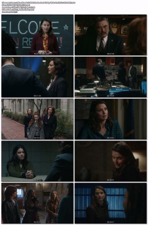 Blue Bloods S14E06 Shadowland 1080p WEB-DL HEVC x265-RMT