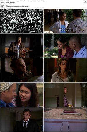 Without A Trace S07 WEBRip EAC3 5 1 1080p x265-iVy
