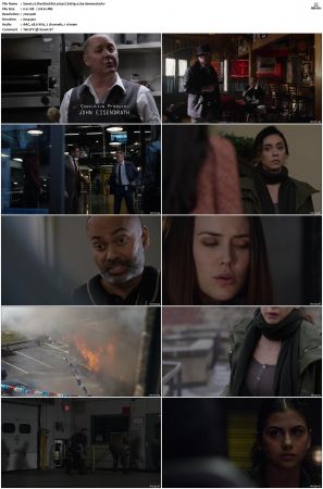 The Blacklist S01-S10 + Redemption DVDRip BDRip x264-Scene
