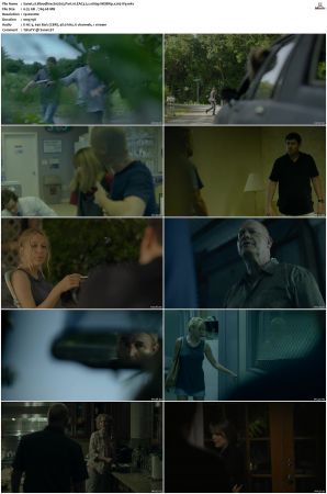 Bloodline S02 WEBRip EAC3 5.1 1080p x265-iVy