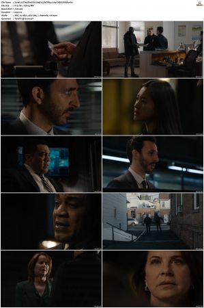 The Blacklist S01-S10 + Redemption DVDRip BDRip x264-Scene