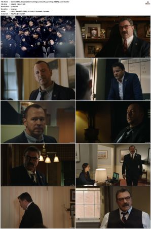 Blue Bloods S08 WEBRip EAC3 5 1 1080p x265-iVy
