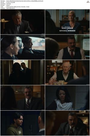 Blue Bloods S12 WEBRip EAC3 5 1 1080p x265-iVy