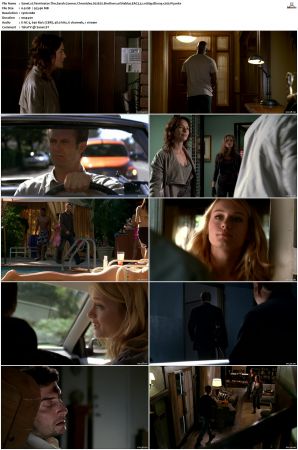 Terminator The Sarah Connor Chronicles S02 Bluray EAC3 5 1 1080p x265-iVy