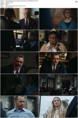 Blue Bloods S11 WEBRip EAC3 5 1 1080p x265-iVy