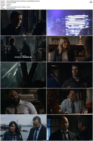 Blue Bloods S13 WEBRip EAC3 5 1 1080p x265-iVy
