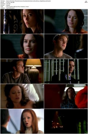 Terminator The Sarah Connor Chronicles S02 Bluray EAC3 5 1 1080p x265-iVy