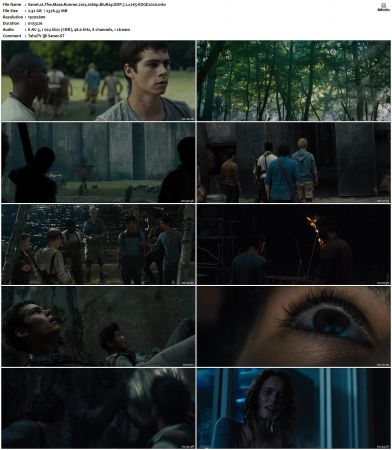 The Maze Runner 2014 1080p BluRay DDP 7.1 x265-EDGE2020