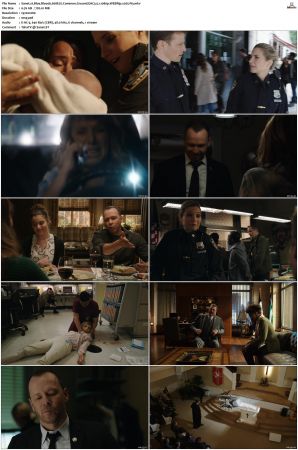 Blue Bloods S08 WEBRip EAC3 5 1 1080p x265-iVy