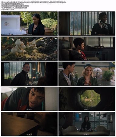 The Spiderwick Chronicles S01 1080p 10bit WEBRip 6CH x265 HEVC-PSA