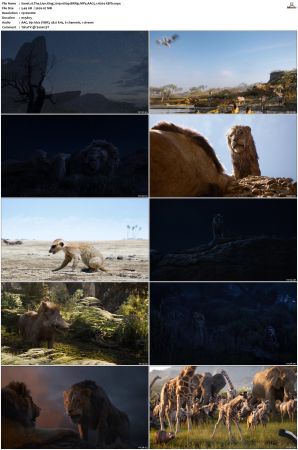 The Lion King 2019 1080p BRRip MP4 AAC5.1 H264-XBiTs