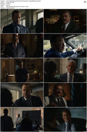 Blue Bloods S12 WEBRip EAC3 5 1 1080p x265-iVy