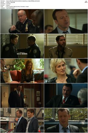 Blue Bloods S02 WEBRip EAC3 5 1 1080p x265-iVy