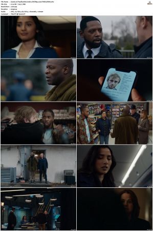 The Blacklist S01-S10 + Redemption DVDRip BDRip x264-Scene