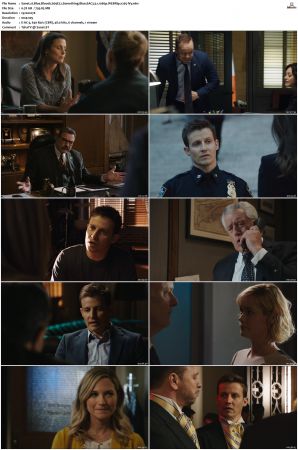 Blue Bloods S09 WEBRip EAC3 5 1 1080p x265-iVy