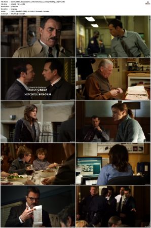 Blue Bloods S01 WEBRip EAC3 5 1 1080p x265-iVy
