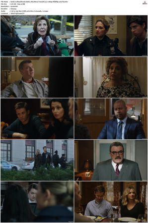 Blue Bloods S08 WEBRip EAC3 5 1 1080p x265-iVy