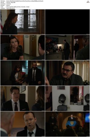 Blue Bloods S05 WEBRip EAC3 5 1 1080p x265-iVy