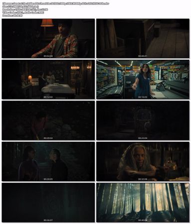 The Spiderwick Chronicles S01 1080p 10bit WEBRip 6CH x265 HEVC-PSA