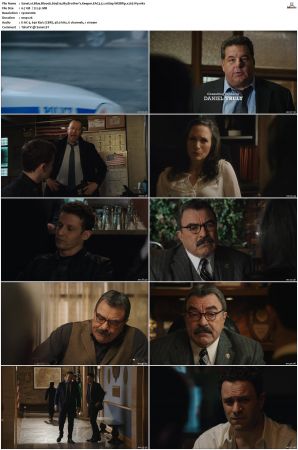 Blue Bloods S09 WEBRip EAC3 5 1 1080p x265-iVy
