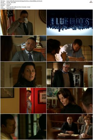 Blue Bloods S02 WEBRip EAC3 5 1 1080p x265-iVy
