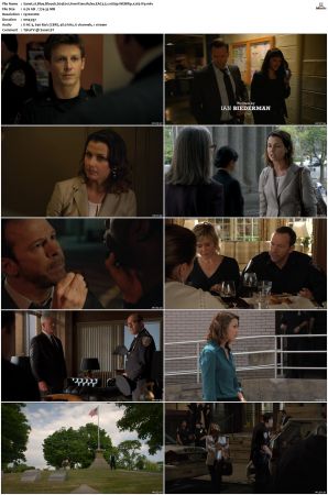 Blue Bloods S04 WEBRip EAC3 5 1 1080p x265-iVy