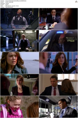 The Blacklist S01-S10 + Redemption DVDRip BDRip x264-Scene