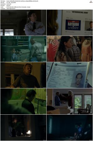 Bloodline S02 WEBRip EAC3 5.1 1080p x265-iVy