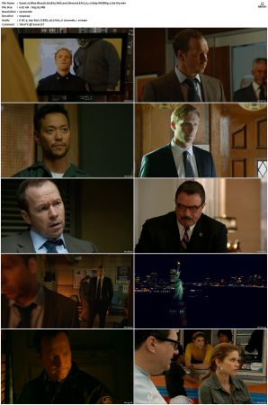 Blue Bloods S03 WEBRip EAC3 5 1 1080p x265-iVy