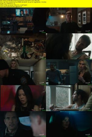 FBI Most Wanted S05E08 720p HDTV x264-TBS