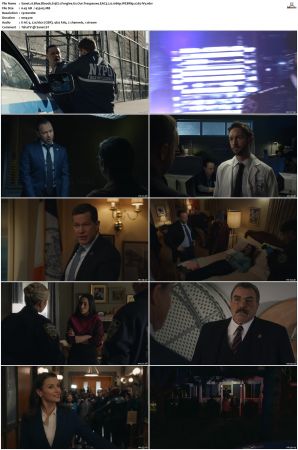 Blue Bloods S13 WEBRip EAC3 5 1 1080p x265-iVy