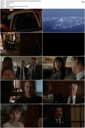 Blue Bloods S05 WEBRip EAC3 5 1 1080p x265-iVy