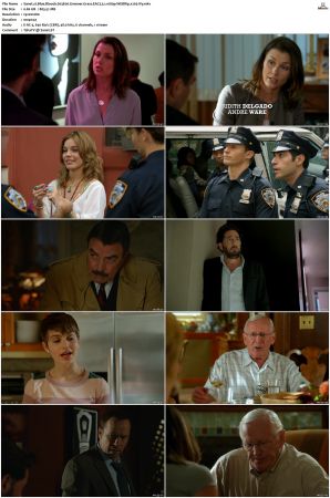 Blue Bloods S03 WEBRip EAC3 5 1 1080p x265-iVy