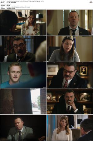 Blue Bloods S07 WEBRip EAC3 5 1 1080p x265-iVy