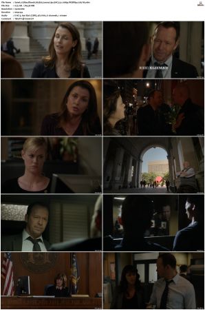 Blue Bloods S05 WEBRip EAC3 5 1 1080p x265-iVy