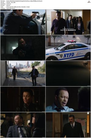 Blue Bloods S09 WEBRip EAC3 5 1 1080p x265-iVy
