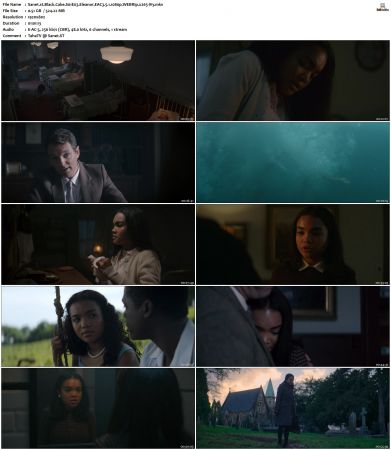 Black Cake S01 WEBRip EAC3 5 1 1080p x265-iVy