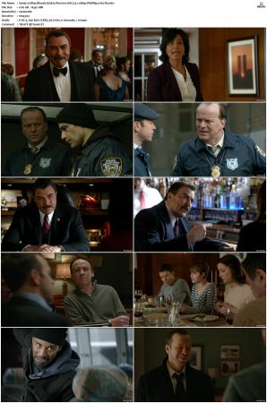 Blue Bloods S03 WEBRip EAC3 5 1 1080p x265-iVy
