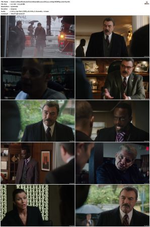Blue Bloods S07 WEBRip EAC3 5 1 1080p x265-iVy