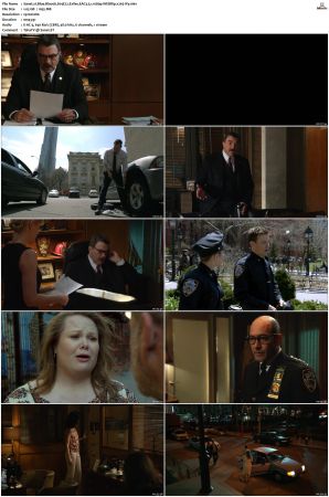 Blue Bloods S04 WEBRip EAC3 5 1 1080p x265-iVy