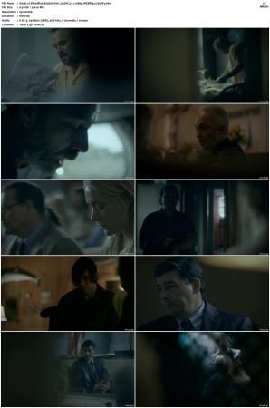 Bloodline S03 WEBRip EAC3 5.1 1080p x265-iVy