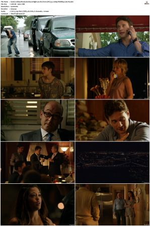 Blue Bloods S02 WEBRip EAC3 5 1 1080p x265-iVy