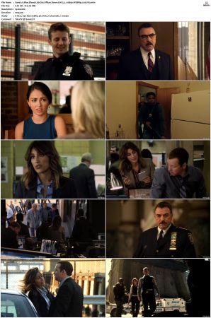 Blue Bloods S01 WEBRip EAC3 5 1 1080p x265-iVy